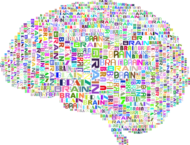 brain